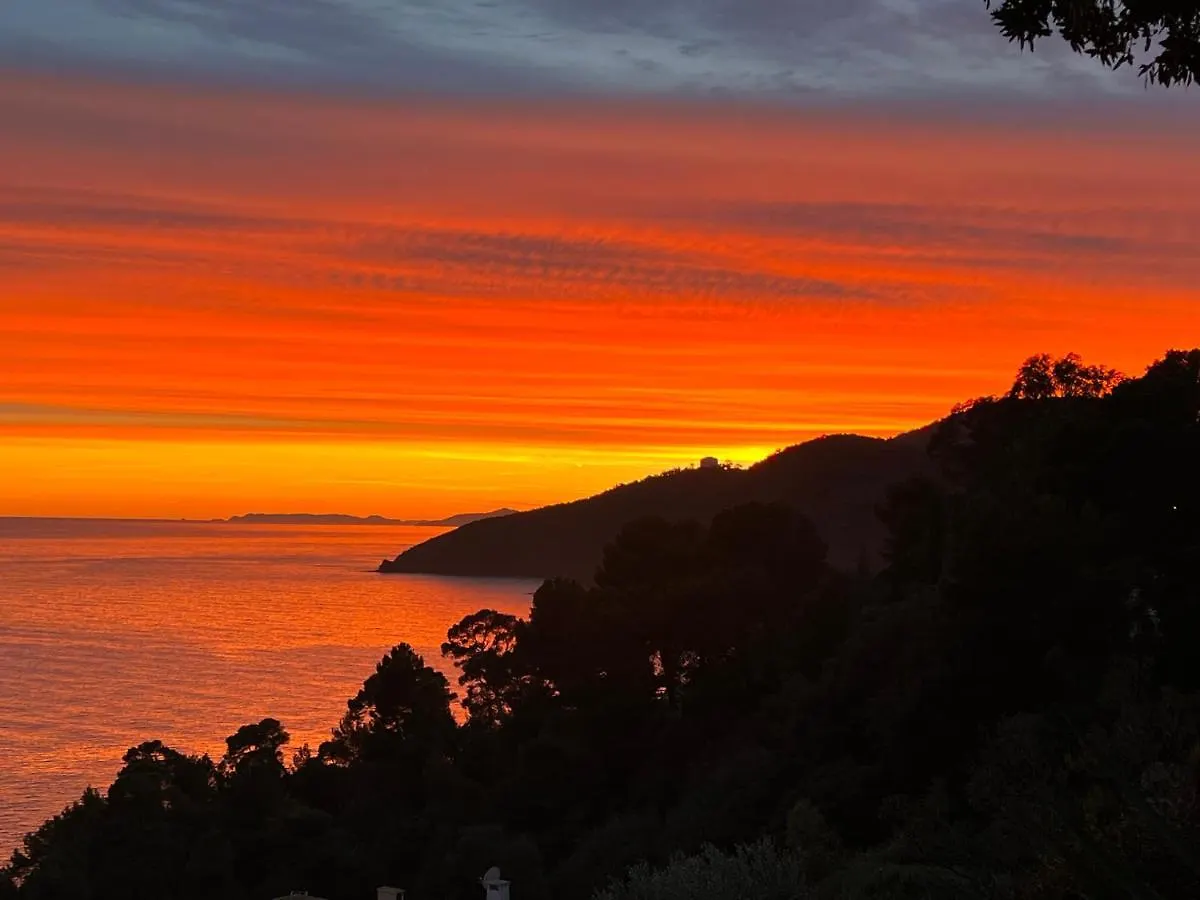 Magnifique Villa Neuve Vue Mer Cavalaire-sur-Mer France